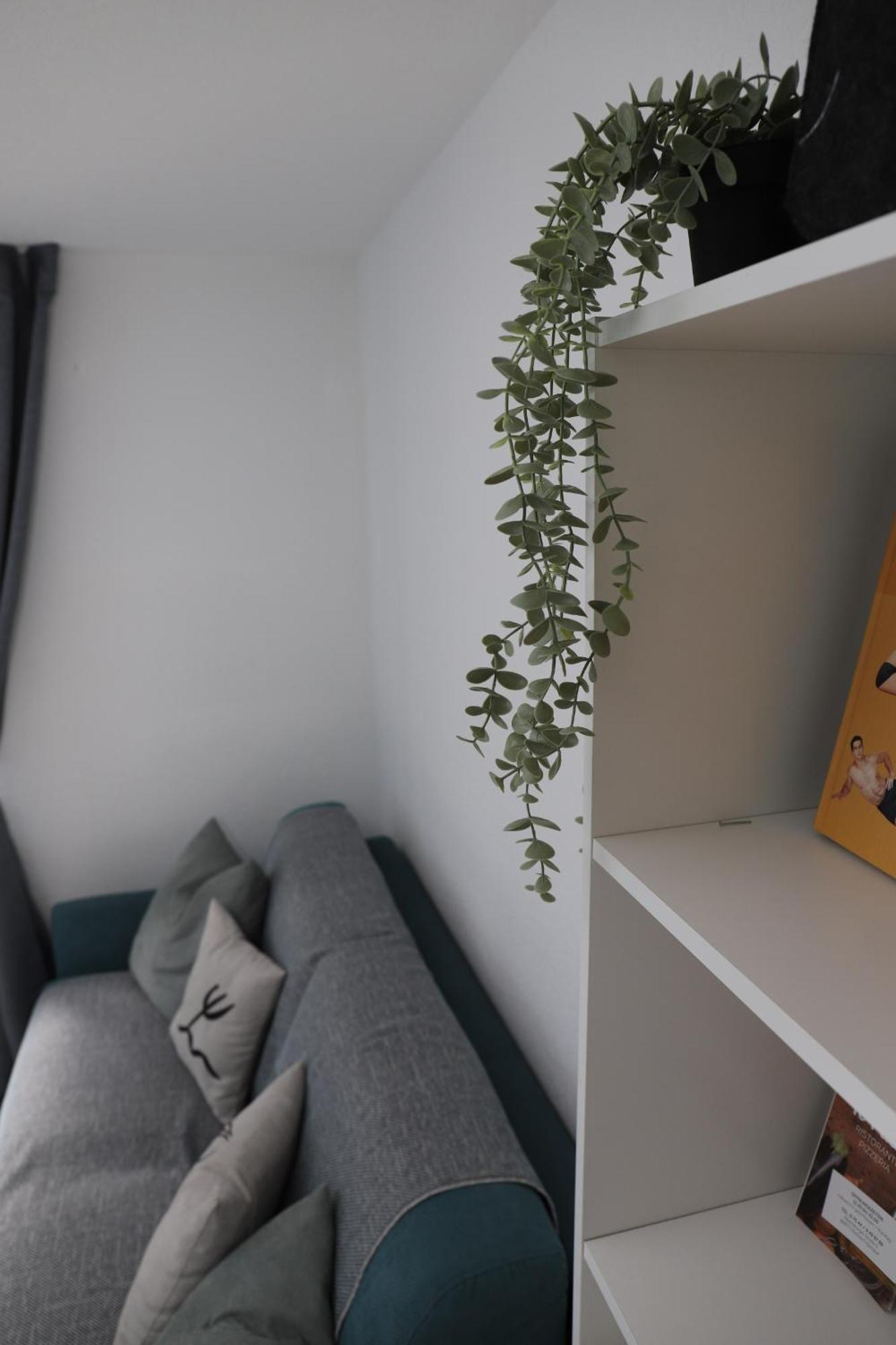 Apartment Gemuetliche Am Bodensee - Self-checkin *